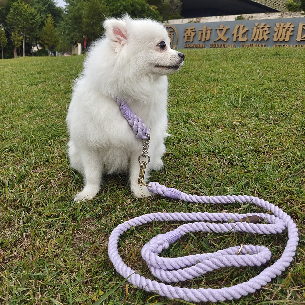Fashion Pet Dog Leash