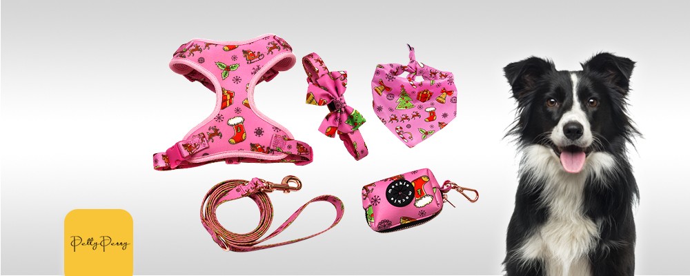 Pink Dog Harness Set