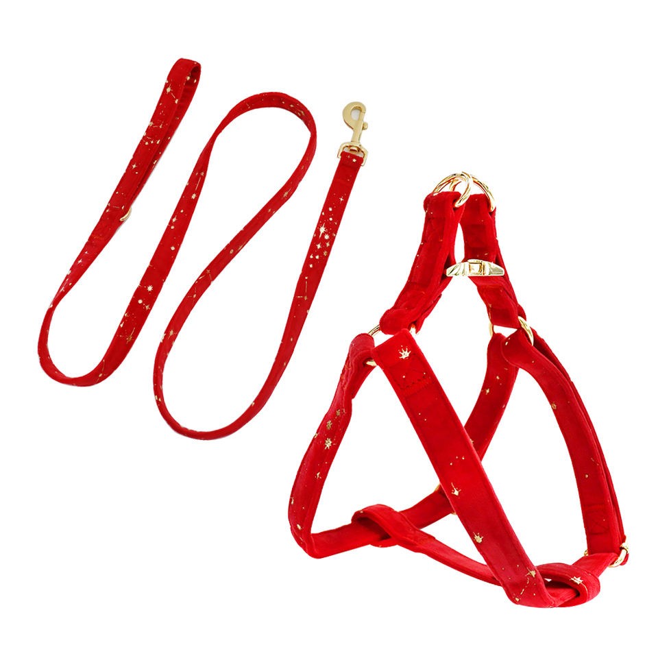 Luxury pet harness set