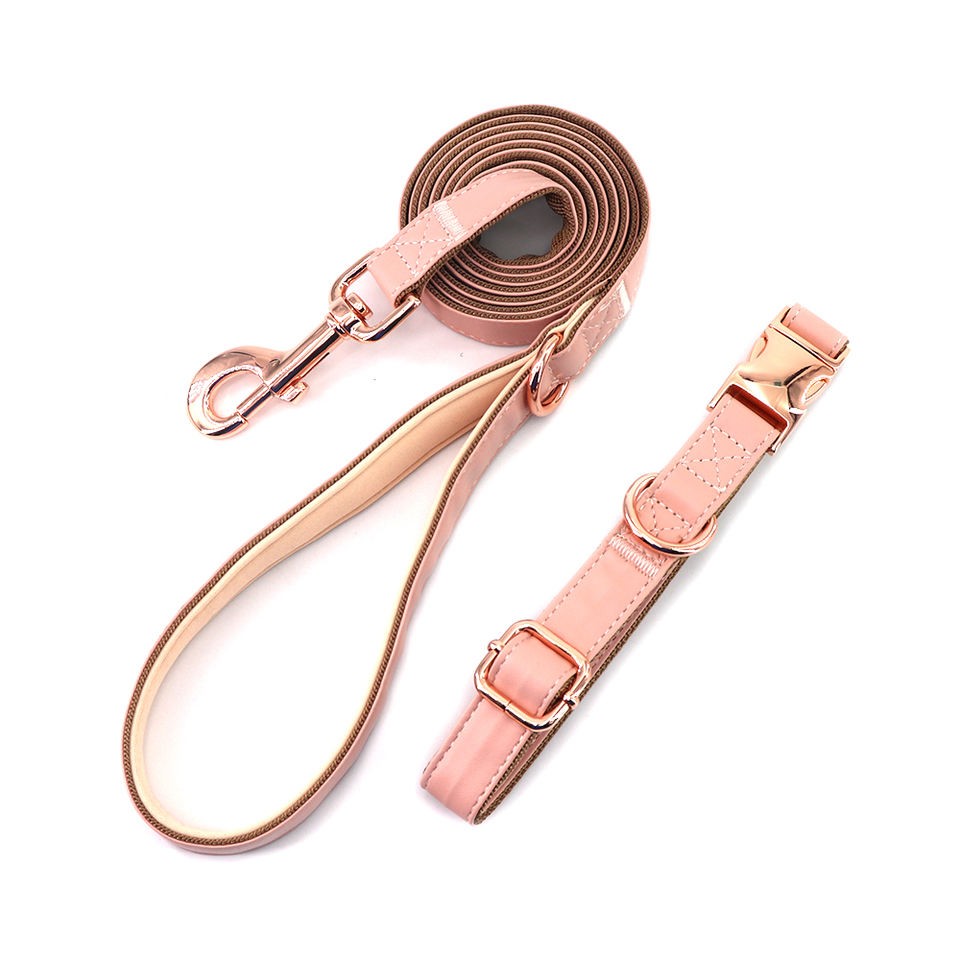 luxury collar and leash
