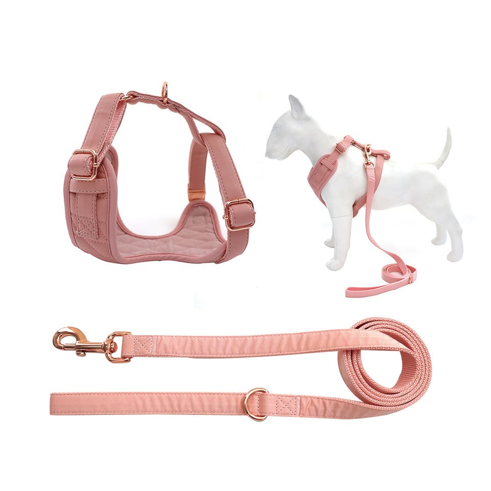 pet safe no pull harness