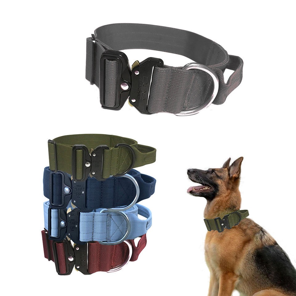 dog collar set