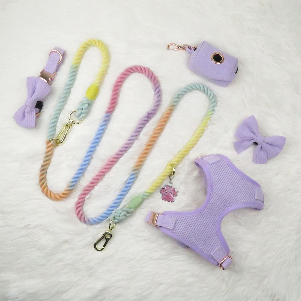 Purple pet harness set
