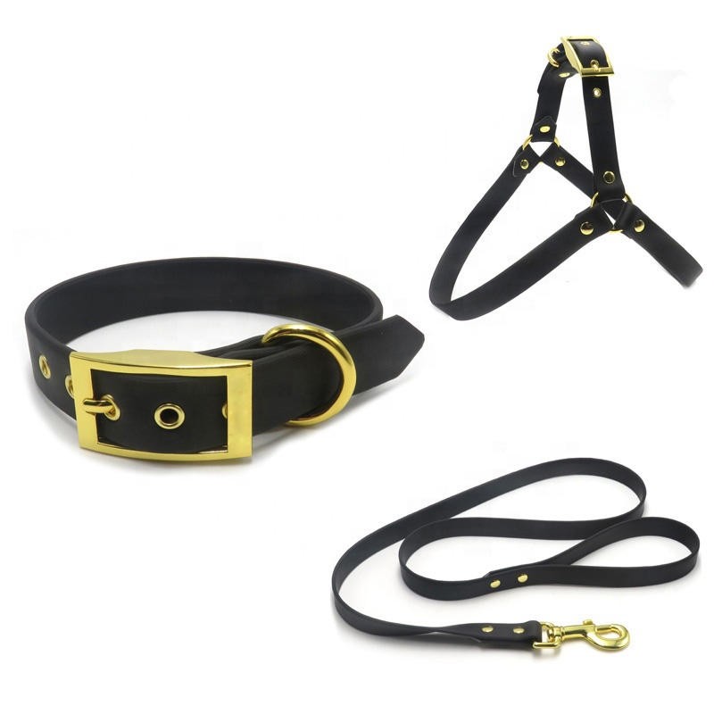 training dog collar and leash