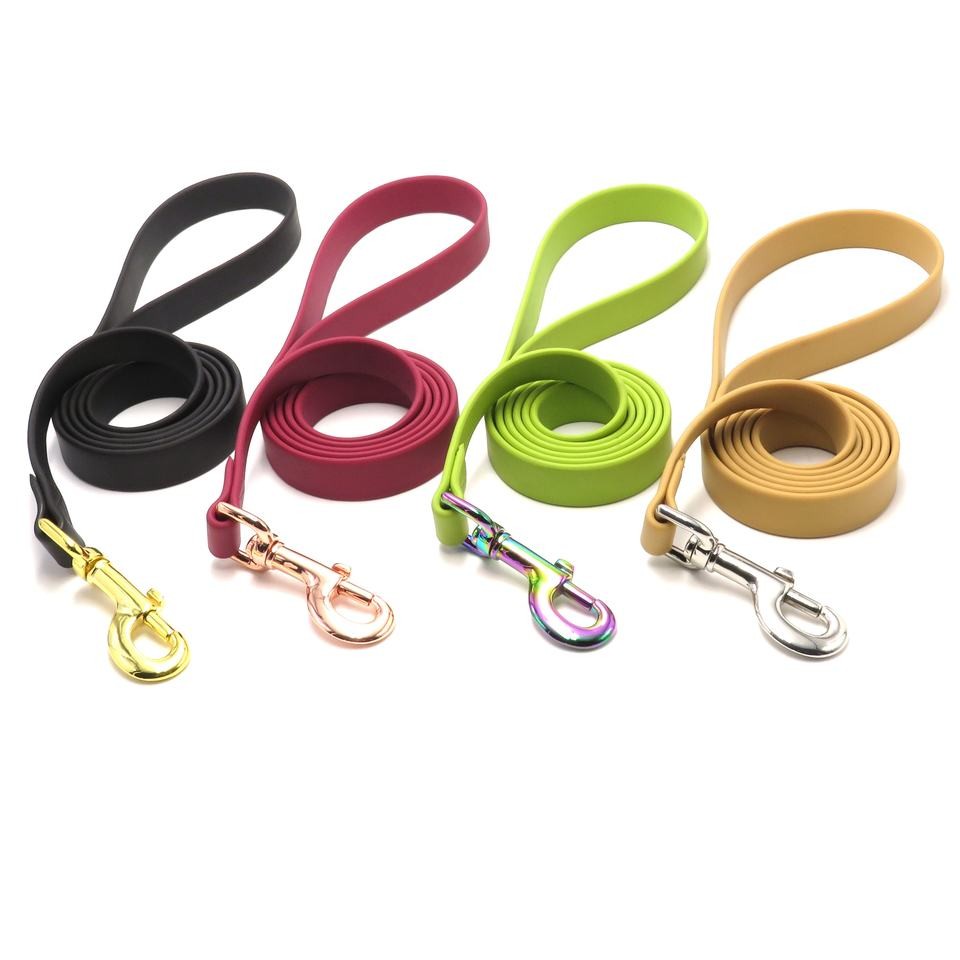 locking dog leash