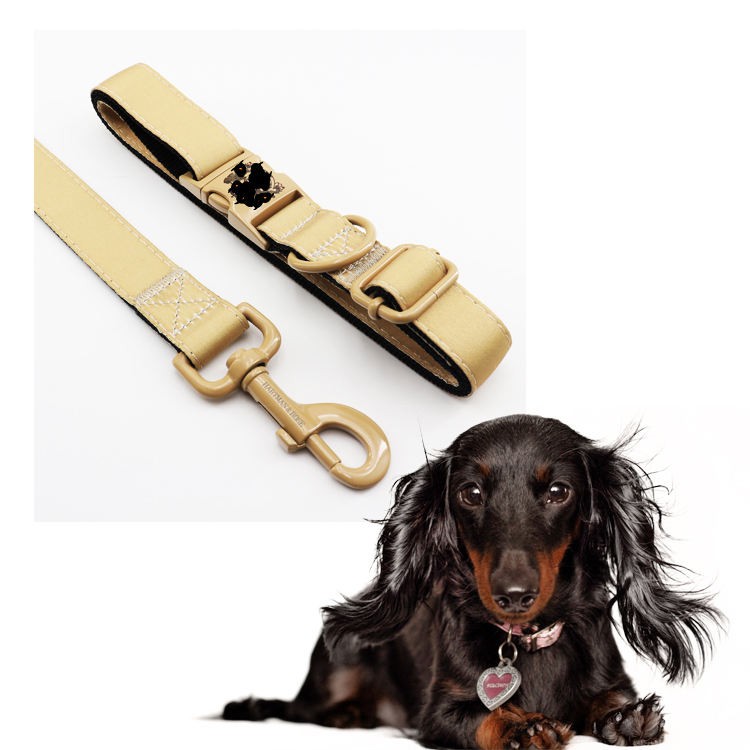  custom dog leash and collar