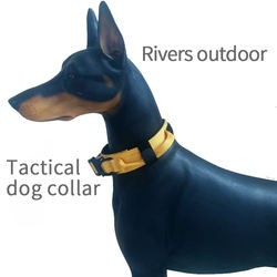 dog harness and leash set