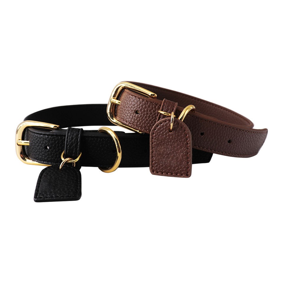 jogging dog lead and collar