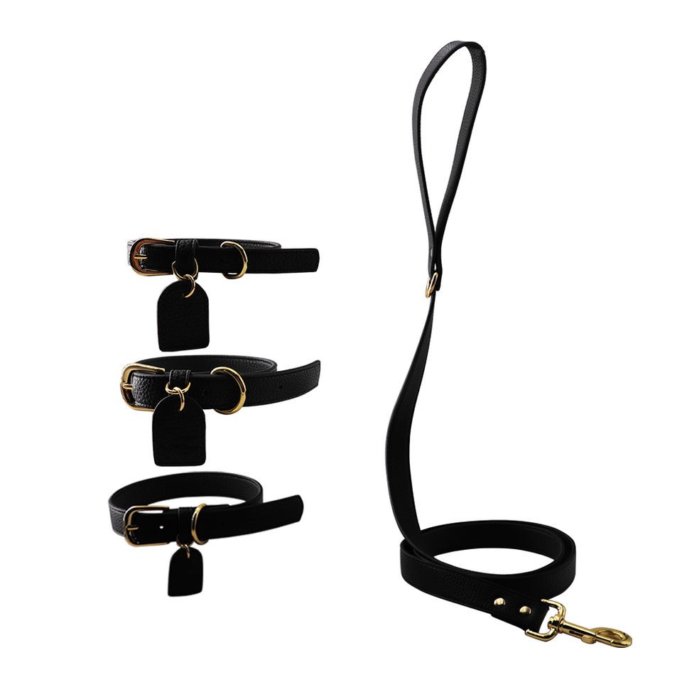 puppy leash and collar set