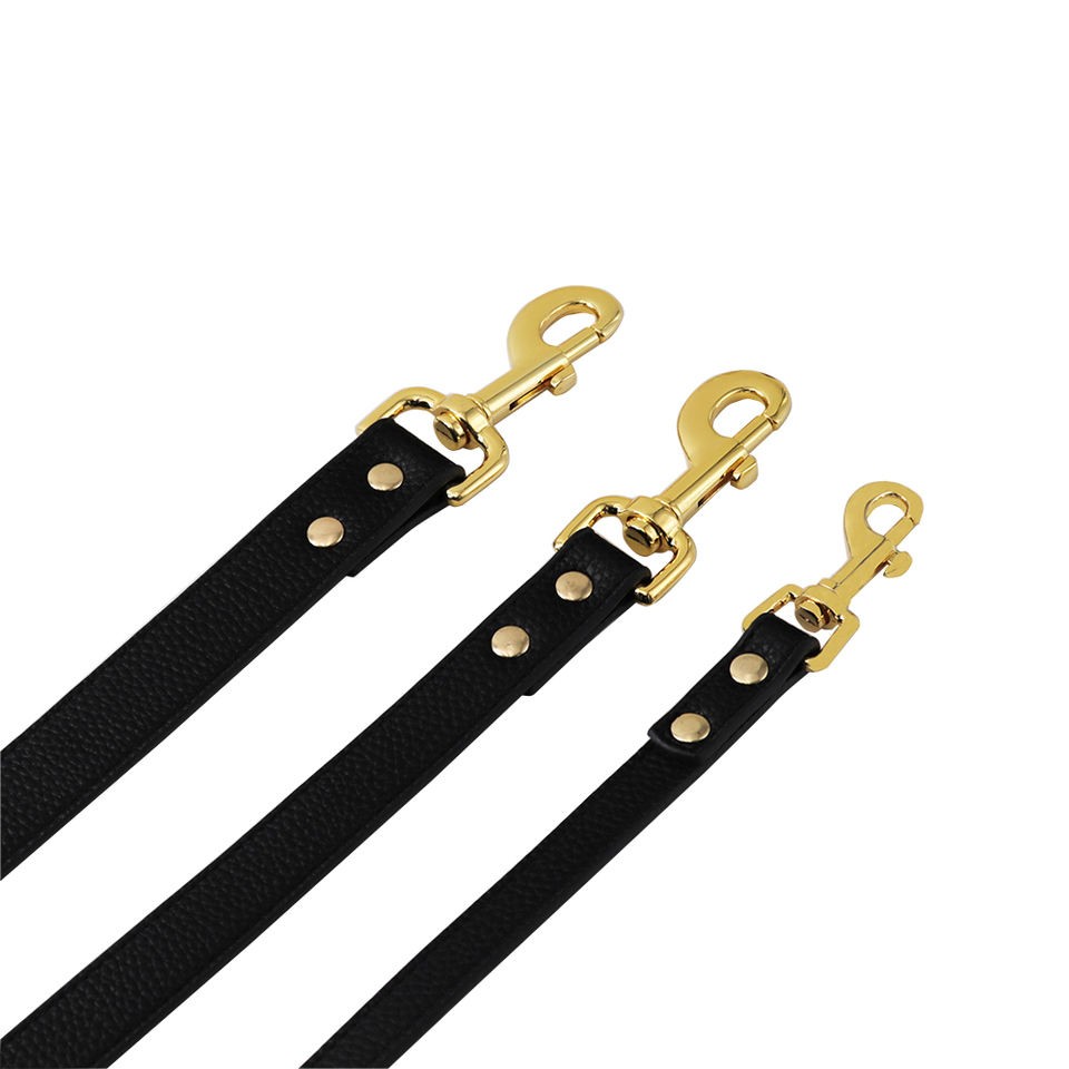 long leather dog leads