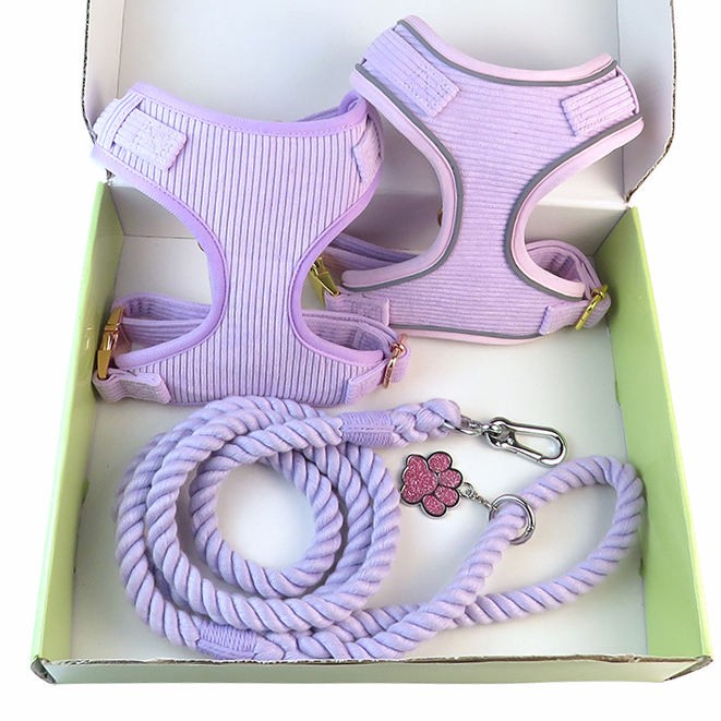 dog harness and twistedstring