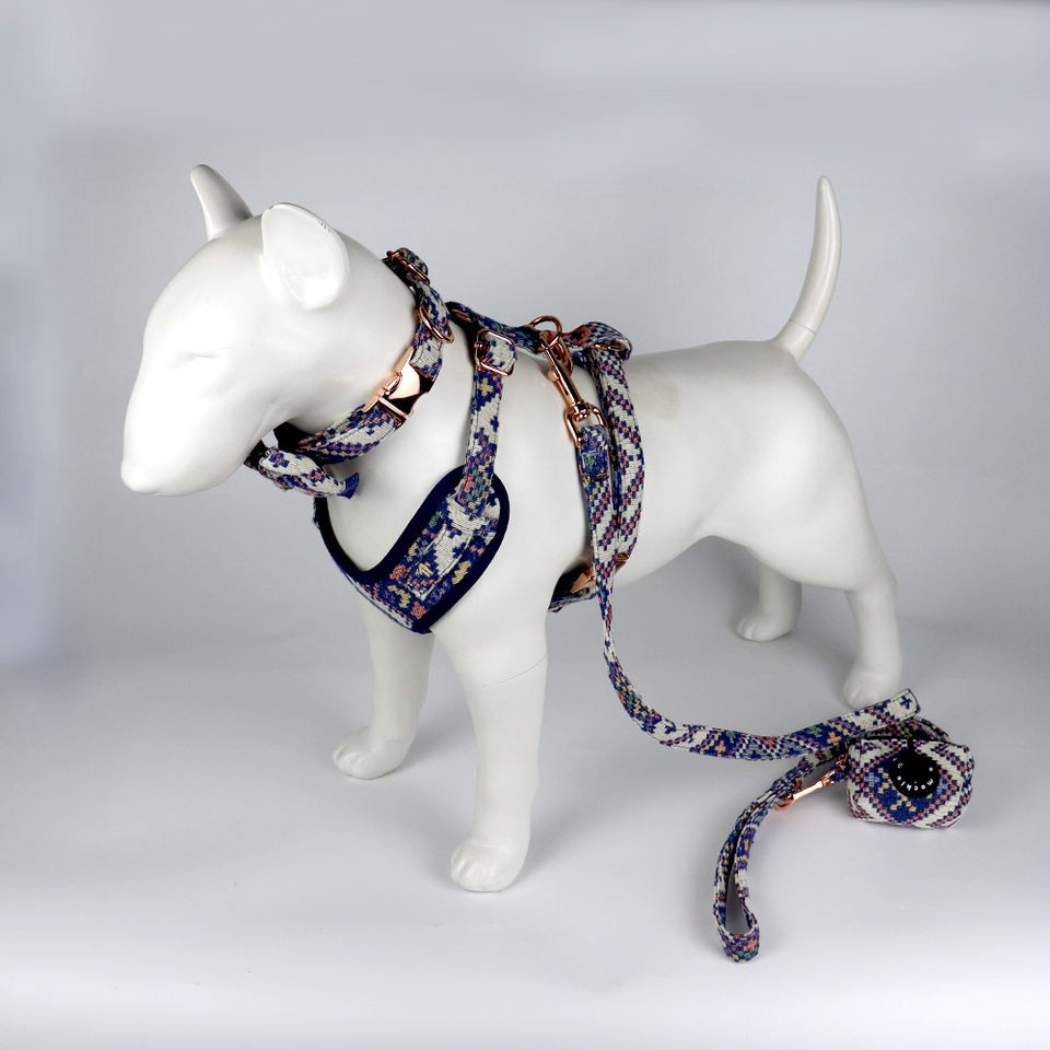 luxury fashion dog harness