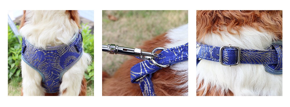 durable dog leash and collar