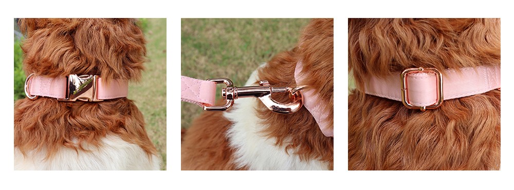 pink dog leash and collar