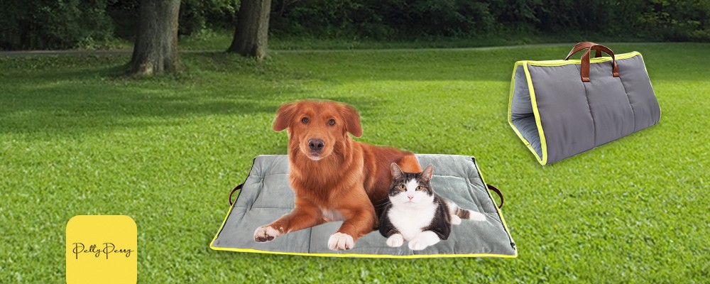 dog cat outdoor pad