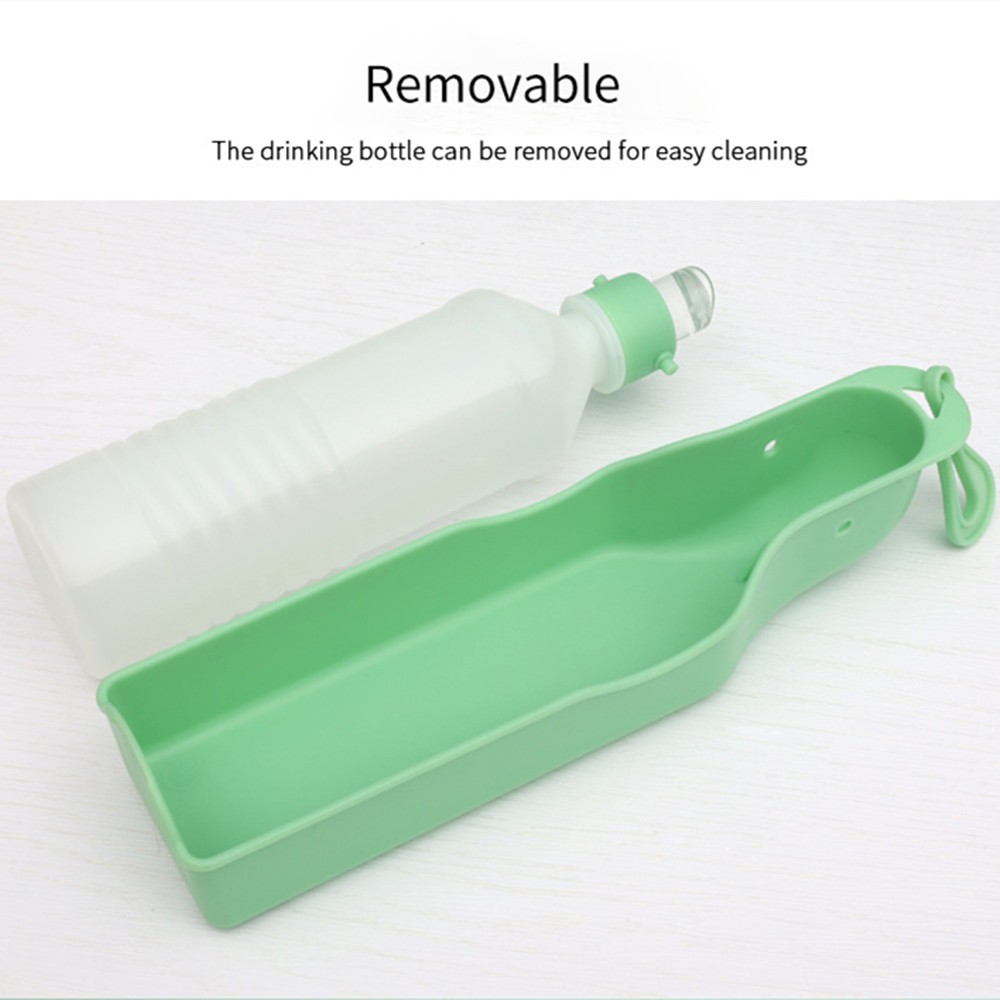 High-capacity outdoor bottle for dog